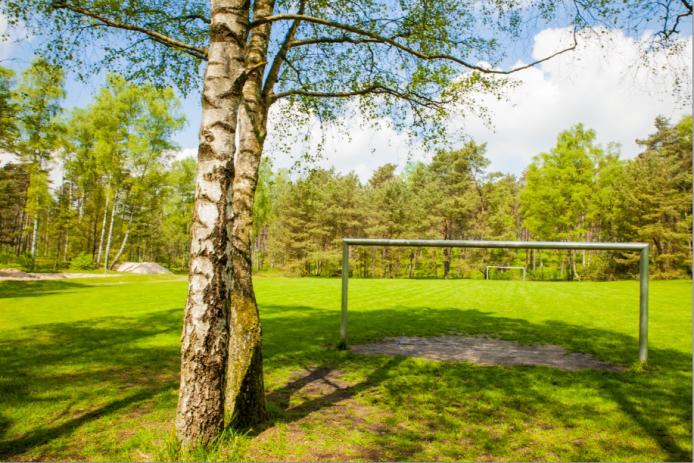 Ein begrünter Sportplatz für alle mögliche Aktivitäten