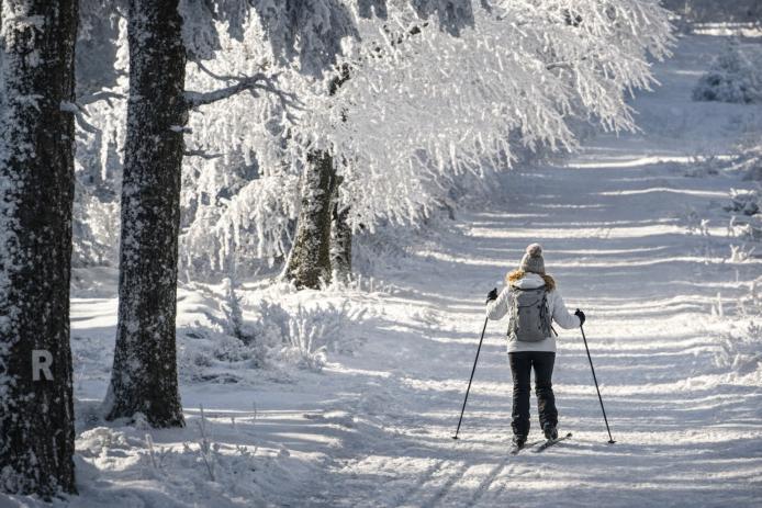 Langlaufloipe vor der Haustür