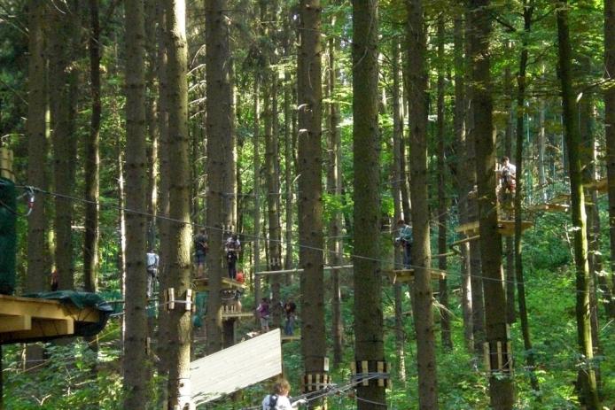 Kletterwald Tabarz 4 km