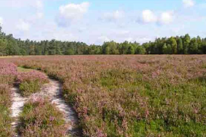 Spazierweg hinter dem Haus