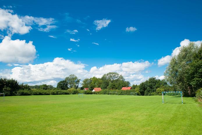 Fußballplatz - Naturrasen