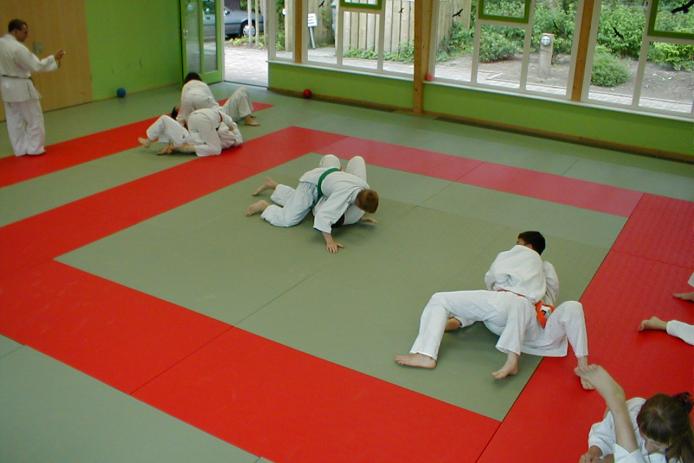 Kleinfeldhalle150 qm mit Budomatten in Wettkampfgröße