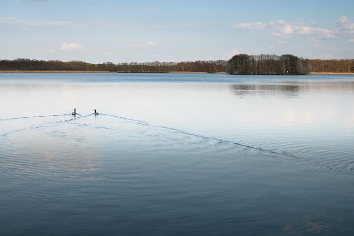 Dolgensee © Matthias Schüssler