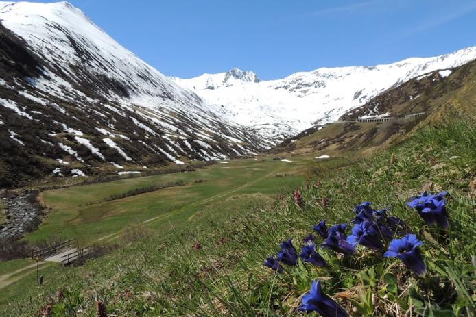 Die grosse Naturspielwiese am jungen Rhein