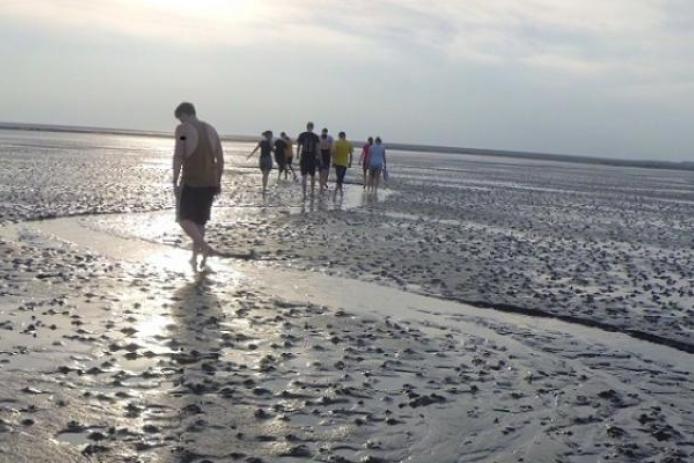 Wattexkursion zur Insel Neuwerk