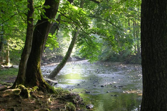 Der Westerwald bietet eine herrliche Natur abseits von jedem Tourismus-Rummel.