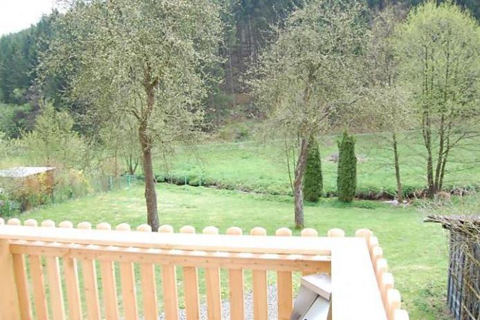 Der Garten mit alten Apfelbäumen