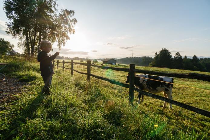 Freizeithaus Allmannsried - Allgäu pur - direkt an unserem Gartenzaun