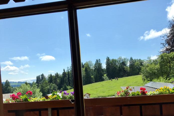 Freizeithaus Allmannsried - Blick aus dem Fenster