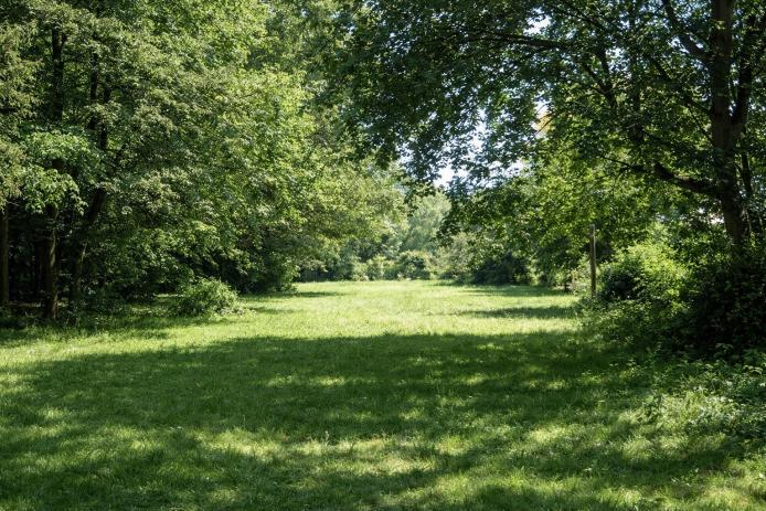 Parkwiese neben dem Haus, bis zu 100 Personen