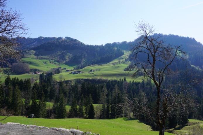 Bergblick