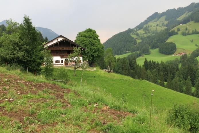 Außenansicht Hütte mit Umgebung