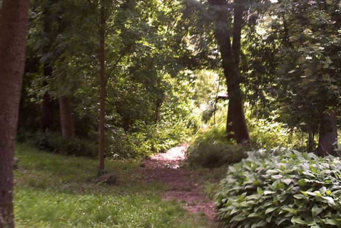 Weg zur Lagerfeuerstelle