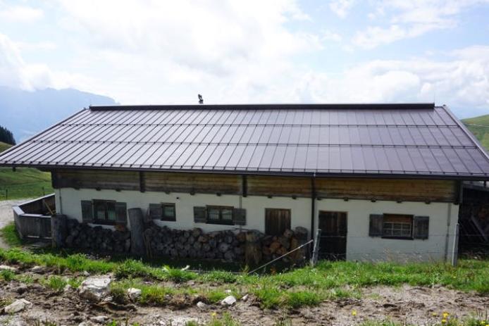 Außenansicht Alm