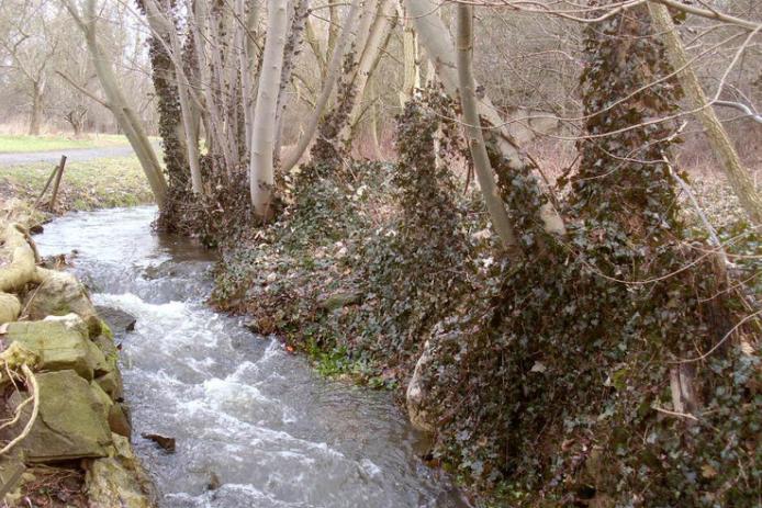 angrenzender Schlosspark mit Bach