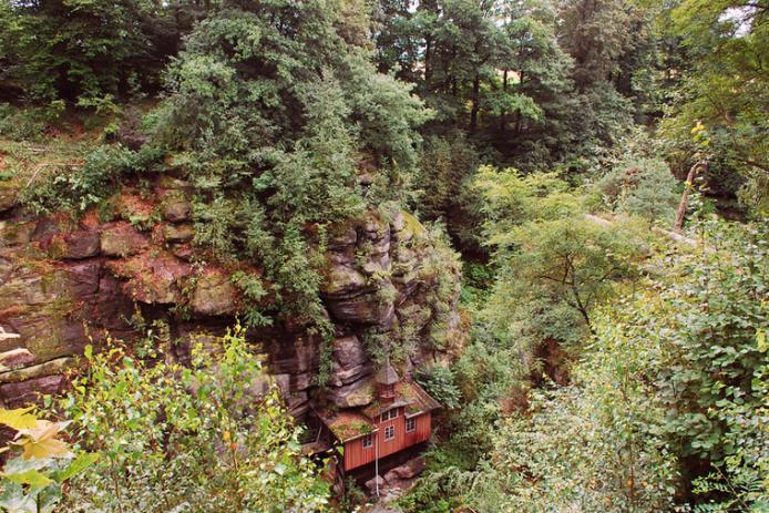 Blick vom Grundstück in den Amselgrund