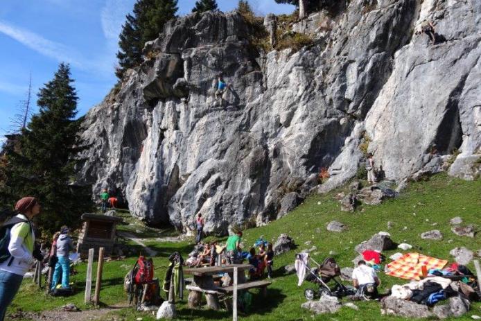 Klettern an der Kletterwand oder im Hochseilgarten