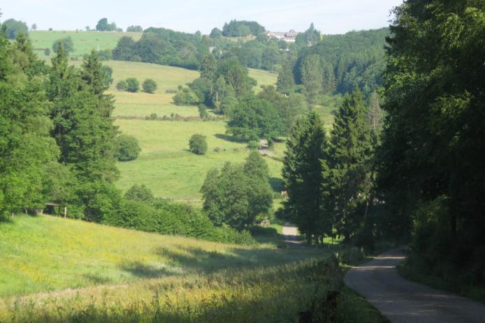 Im Naturpark Hohes Venn