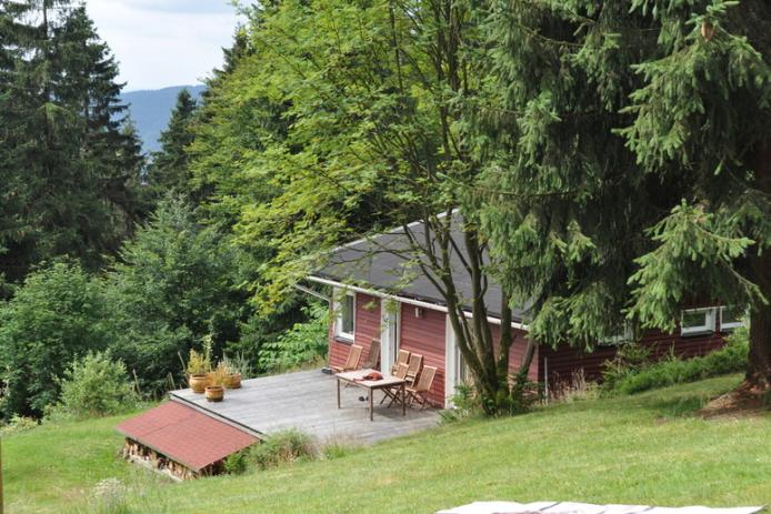 Blick aus dem oberen Eck des Gartens