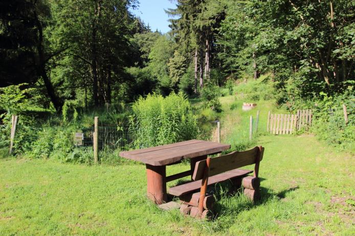 Teich mit Sitzgelegenheit