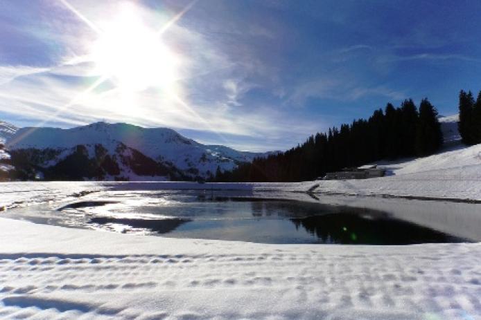 ... Zwölferkogelspeicherteich ...