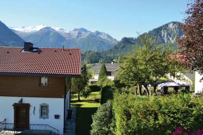 Aussicht im Garten / Sommer