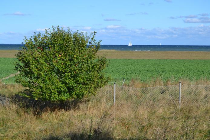 Blick zur Ostsee