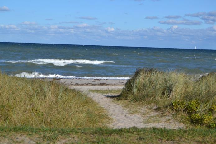 Am Strand beim Gruppenhaus Maasholm