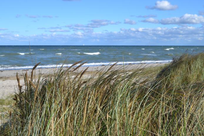 Am Strand beim Gruppenhaus Maasholm