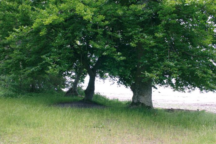 Die Ostsee - direkt am Haus