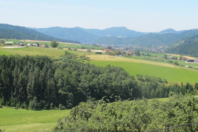 Fewo Falkennest Leibgedinghaus - Ausblick
