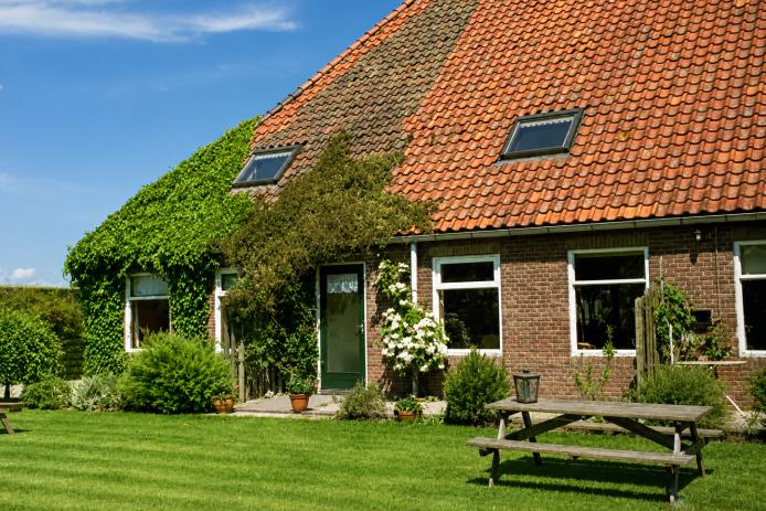 Terrasse und Außenbereich