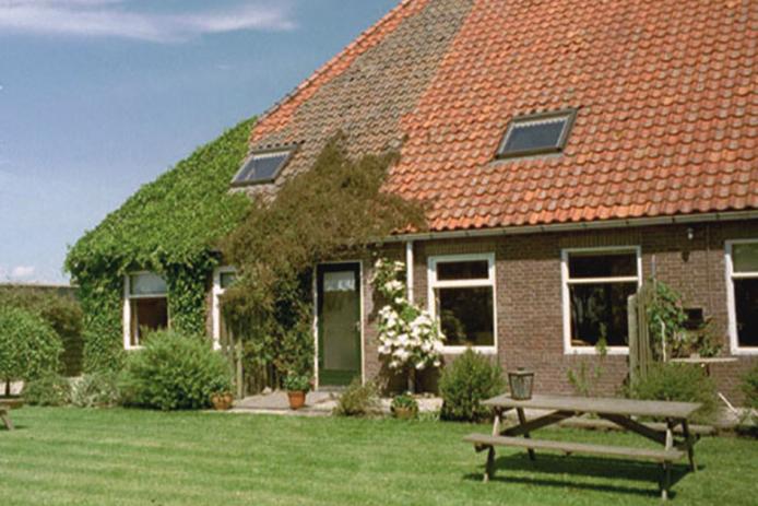 Terrasse und Außenbereich