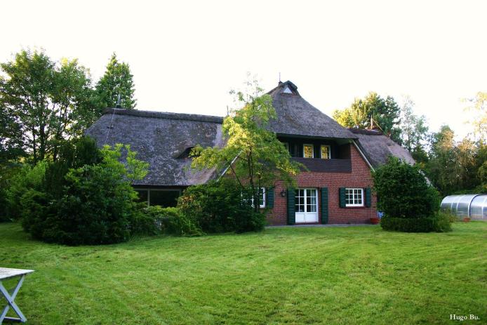 Unsere Liegewiese 1800 qm