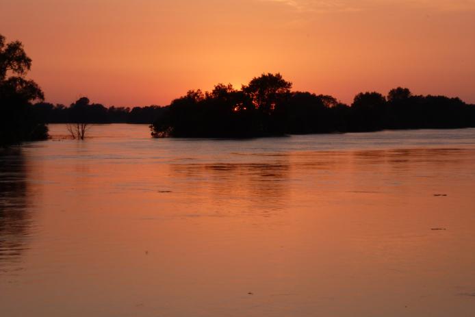 Sommerabend an der Elbe