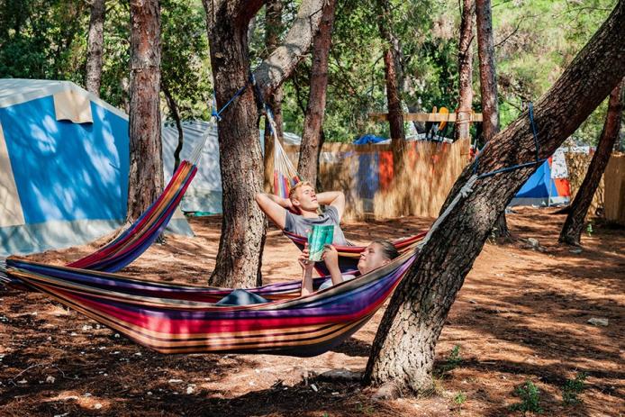 Bäume sorgen für Schatten