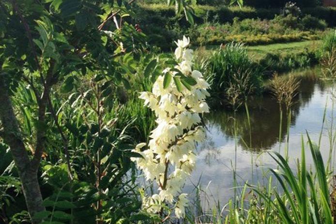 See im Garten (nicht zum Baden!)