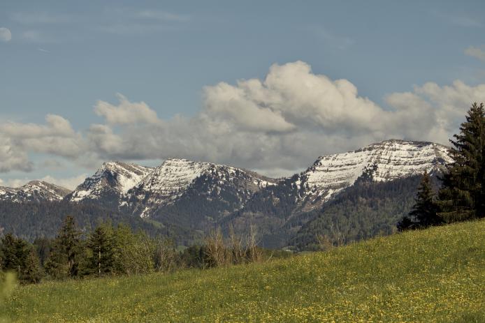 Hochgrat Frühjahr