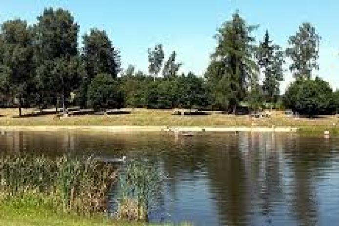 kostenfreier Badesee 10 Fahrminuten