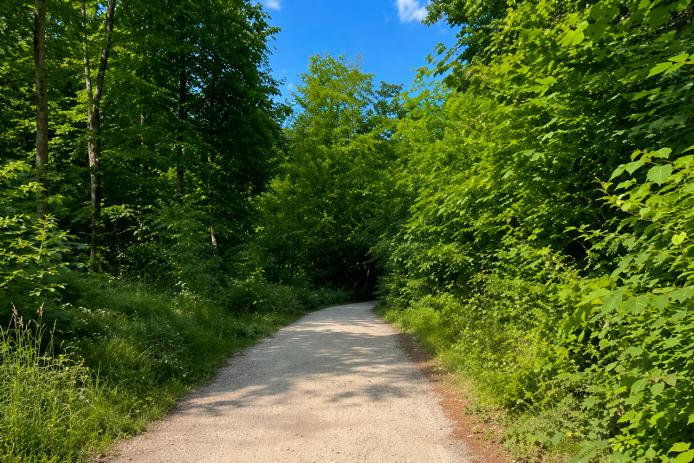 Rad- und Wanderwege direkt vor der Pension