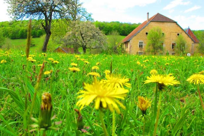 Blick zu den Nachbarn