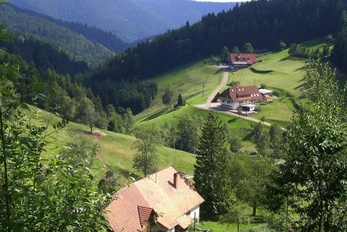 Die Lage von Seewald-Besenfeld (800 m ü. M.)