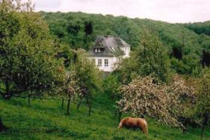 umgeben von Wald und Wiese