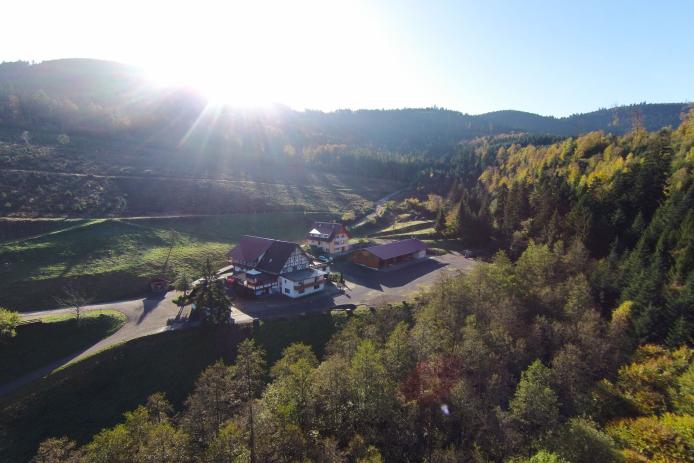 Die Waldpension Hengsthof seit 1716 in idyllischer Einzellage