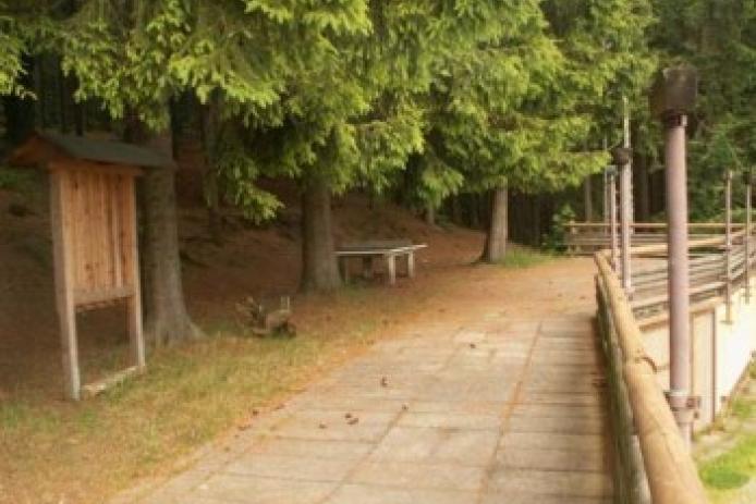 Waldgelände m. Tischtennisplatte