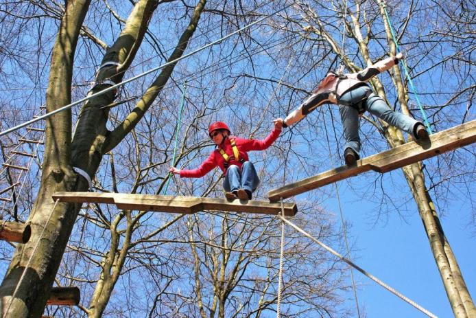 In den Baumwipfeln des Arnsberger Waldes...