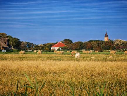 Westerhever, Dorf an der Nordsee, im Nordwesten der Halbinsel Eiderstedt 
