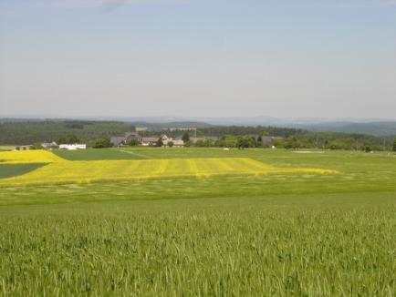 Sommerwiesen vor Raversbeuren