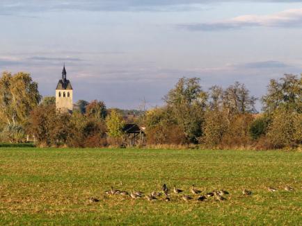 Buch - Ortsteil von Tangermünde – Natur pur am Zusammenfluss von Elbe und Tanger