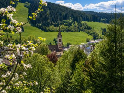 Die Ortschaft Hammereisenbach-Bregenbach im Schwarzwald